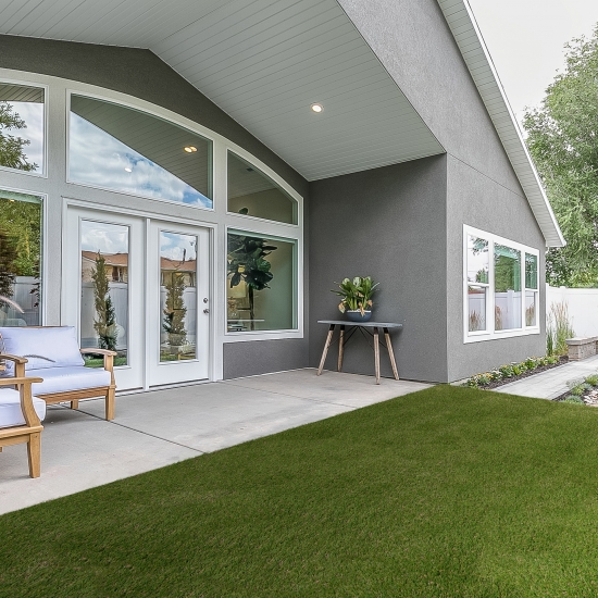 Pet Grass